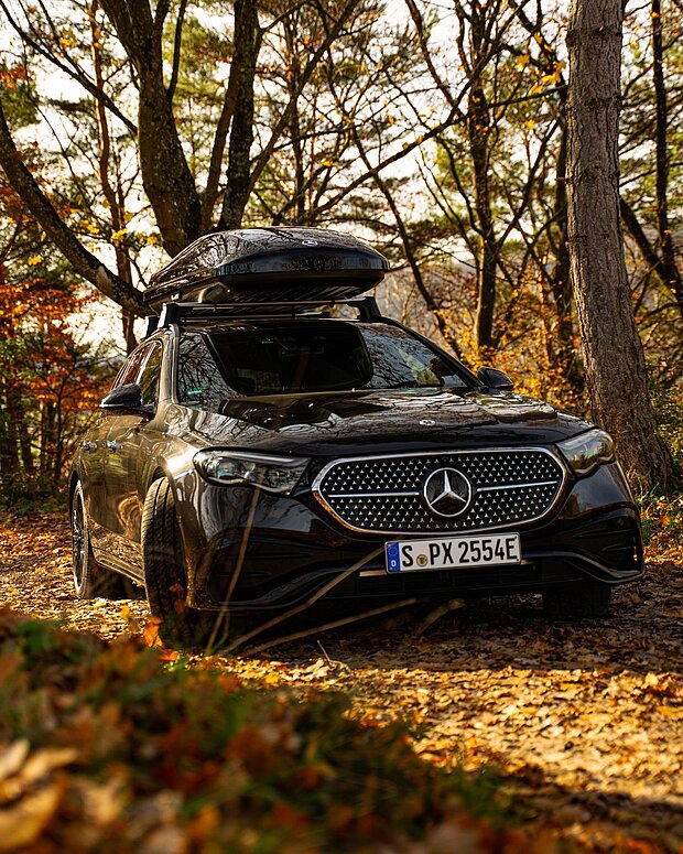 Mercedes Pkw im Wald mit Dachgepäck